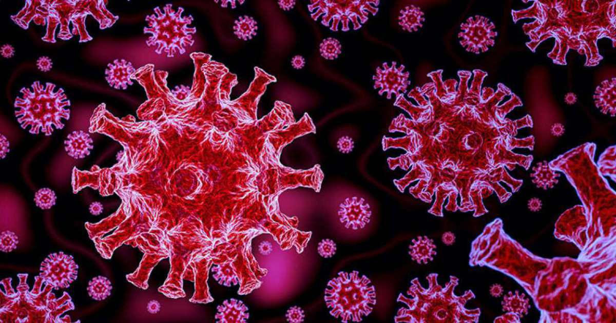 Coronavirus, in Puglia 36 nuovi casi: positivo il 2,78% dei tamponi